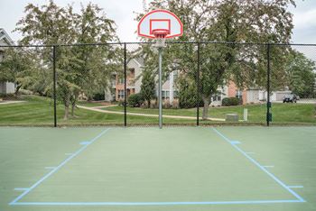 Basketball court